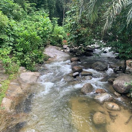 Chalet Latip D'Ayer Itam Hotell Kampong Ayer Hitam  Exteriör bild